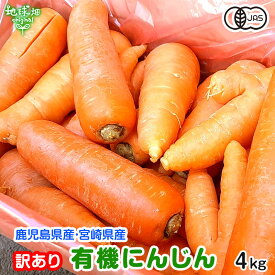 訳あり にんじん 4kg 有機栽培 冷蔵便 鹿児島県産 宮崎県産 化学肥料・農薬・除草剤不使用 ジュース用 規格外 わけあり B品 人参 有機JAS 発送期間11月下旬～6月