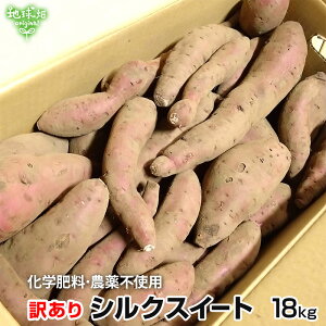 󂠂 ܂ VNXC[g 18kg w엿E_sgp Y yt F Tc}C 炢 Bi KiO A p 傫܂