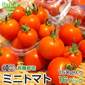 ミニトマト パック 食品の人気商品 通販 価格比較 価格 Com