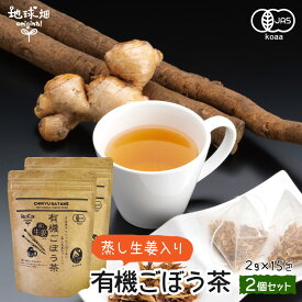 蒸し生姜入り有機ごぼう茶 2g×15包×2p 【メール便送料無料】 国産 有機JAS ノンカフェイン 有機栽培ごぼう ゴボウ 牛蒡茶 しょうが ショウガ ジンジャーティー しょうが茶 生姜湯 オーガニック【後払い不可】