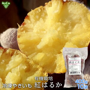 Ă ܂ Y L@g͂邩i400g×10܁jSTCY Ԃ ⓀĂ L@͔| ₫ Ĉ Tc}C ׂɂ͂邩 fU[g XC[c ĂACX Y H 