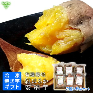 Ă Mtg ܂ Y L@g͂邩 L@[ 2×3 v6 STCY ЂƂTCY L@͔| ₫ Ĉ Tc}C  fU[g XC[c ĂACX Y