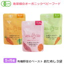 地球畑 ベビーフード 離乳食 お試し 有機野菜のペースト 5ヶ月 3袋セット レトルトパウチ オーガニック 無添加 有機野菜 メール便 防災 非常食 6ヶ月