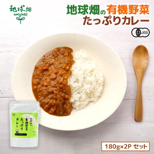 カレー レトルト オーガニック 無添加 180g×2p 有機JAS 国産 子供 子ども 時短 グルテンフリー ヴィーガン スパイス 備蓄 防災 非常食 保存食 お試し 甘口「地球畑の有機野菜たっぷりカレー」