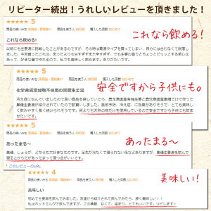 黒糖生姜湯100g【メール便送料無料】鹿児島・沖縄の黒糖と生姜しょうが湯ショウガジンジャーティー無添加しょうがゆ国産無農薬冷え性