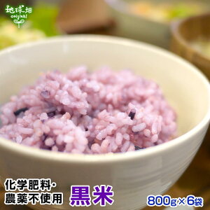 Y  800g×6p v4.8kg G {茧Y Y w엿E_sgp Ñ    낲 ܂ Y F