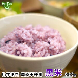 Y  800g G {茧Y Y w엿E_sgp Ñ    낲 ܂ Y F [֑