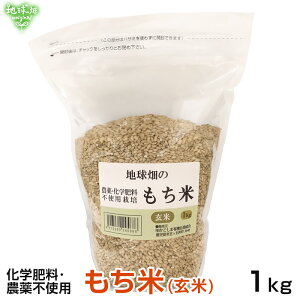 11/13 () 1kg  w엿E_sgp ݕ   Ė