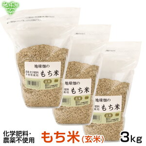 11/13 () 3kg  w엿E_sgp ݕ   Ė