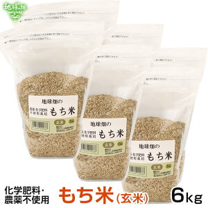 11/13 () 6kg  w엿E_sgp ݕ   Ė