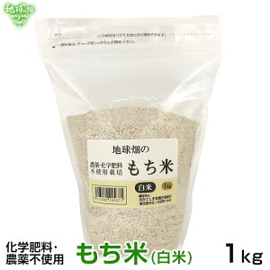 11/13 () 1kg  w엿E_sgp ݕ   