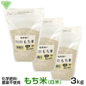 11/13 () 3kg  w엿E_sgp ݕ   