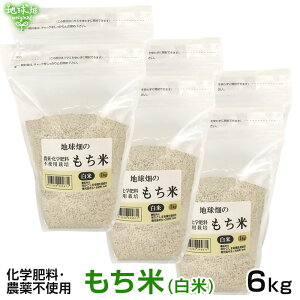 11/13 () 6kg  w엿E_sgp ݕ   