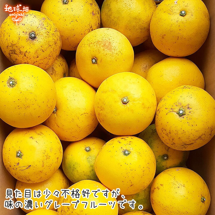 楽天市場 グレープフルーツ 4kg 特別栽培 熊本県産 貴重な国産 化学肥料 除草剤 防腐剤不使用 大きさおまかせ 鹿児島県産 柑橘 中晩柑 ご自宅用 送料無料 酸味が強いダンカン種 常温便 地球畑