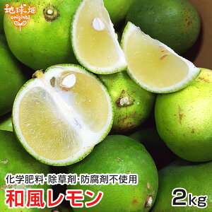 和風レモン2kg鹿児島県産辺塚産化学肥料・農薬・防腐剤不使用無農薬だいだいれもん檸檬ノーワックス国産レモン辺塚デデススムージー人参ジュース