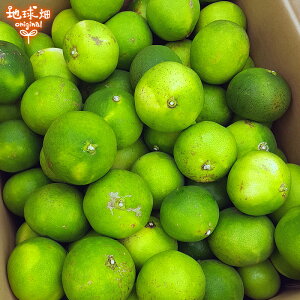 和風レモン2kg鹿児島県産辺塚産化学肥料・農薬・防腐剤不使用無農薬だいだいれもん檸檬ノーワックス国産レモン辺塚デデススムージー人参ジュース