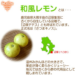 和風レモン2kg鹿児島県産辺塚産化学肥料・農薬・防腐剤不使用無農薬だいだいれもん檸檬ノーワックス国産レモン辺塚デデススムージー人参ジュース