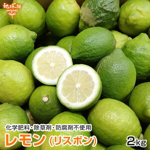  (X{) 2kg ʍ͔| F{Y Y w엿E܁Ehܕsgp m[bNX Y X{ 傫܂ 10`1