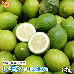  (X{) 2kg F{Y 엿E_sgp m[bNX Y X{ 傫܂ { _ R͔| 10`1