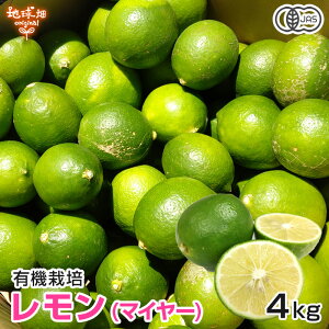  (}C[) 4kg L@͔| F{Y w엿E܁Ehܕsgp m[bNX Y }C[ 傫܂ L@JAS I[KjbN organic 10`1