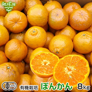 �ۂ񂩂� �L�@�͔| 8kg ���������Y �L�@JAS �|���J�� ���k �݂��� �I�����W �������� �T�C�Y���� �Ɩ��p �܂Ƃߔ��� �I�[�K�j�b�N ��������12���`1��