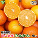 たんかん 4kg 有機JAS 屋久島産 大きさおまかせ 有機栽培 タンカン 柑橘 フルーツ 有機たんかん 有機タンカン 数量限定 発送期間2月上旬～3月上旬
