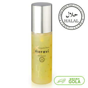 _ yV X[p[SALE ^ meravi HL et n[F؎擾 ϐ ϕi ωnt XLPA RX