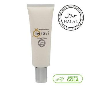 meravi HL N[ n[F؎擾 ωnt ێN[ XLPA RX