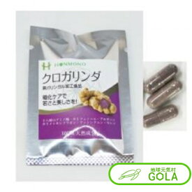 ＼ 楽天 スーパーSALE ／ クロガリンダ 370mg×3カプセル サンプル 健康食品 サプリメント 黒ガリンガル クロガリン 黒ガリン