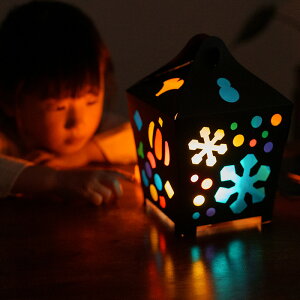 y[J[cXz nӋ쏊 STEAM XehA[g^