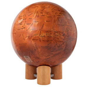 y[J[cXz nӋ쏊 ΐV MYiؑj 26cm