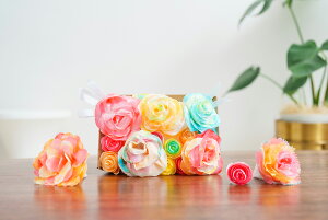 y[J[cXz nӋ쏊 STEAM Of[Vt[