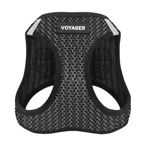 Voyager bV n[lX XebvECEn[lX p Lp  ςh~n[lX ybg ^ ^ ^ Best Pet Supplies