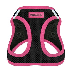 Voyager bV n[lX XebvECEn[lX p Lp  ςh~n[lX ybg ^ ^ ^ Best Pet Supplies