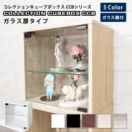 地球家具 コレクション キューブボックス ガラス扉タイプ CCB コレクションケース ガラスケース ショーケ…