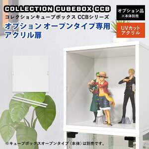 nƋ RNVL[u{bNX [I[v^CvpIvV] UVJbgAN UVJbg CCB RNVP[X V[P[X 