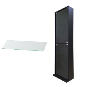 nƋ RNVbN DIO fBI { t NEW RNVP[X KXP[X fBXvCbN i{ + ǉKXI1tj ( s18cm^Cv ^ zCg , ubN , u