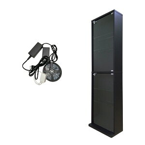 nƋ RNVbN DIO fBI { t NEW RNVP[X KXP[X fBXvCbN i{ + LED Zbgj ( s18cm^Cv ^ zCg , ubN , uE )