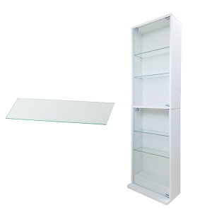 nƋ RNVbN DIO fBI { t NEW RNVP[X KXP[X fBXvCbN i{ + ǉKXI1tj ( s18cm^Cv ^ zCg , ubN , u