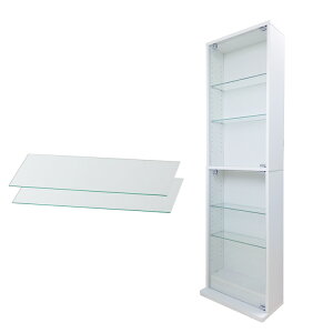 nƋ RNVbN DIO fBI { t NEW RNVP[X KXP[X fBXvCbN i{ + ǉKXI2tj ( s18cm^Cv ^ zCg , ubN , u