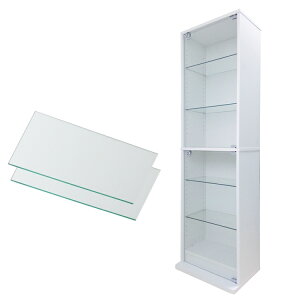 nƋ RNVbN DIO fBI { t NEW RNVP[X KXP[X fBXvCbN i{ + ǉKXI2tj ( s28cm^Cv ^ zCg , ubN , u