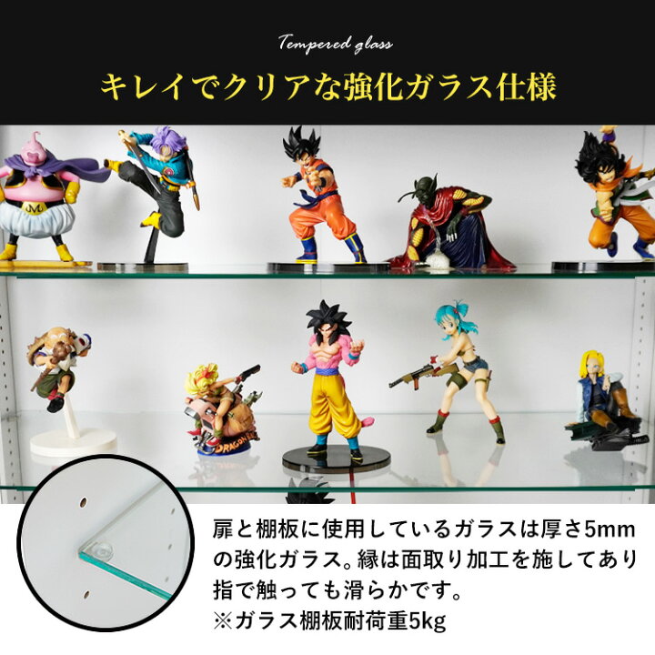 楽天市場】地球家具 コレクションラック DIO ディオ 本体 鍵付 NEW 
