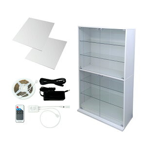 nƋ RNVbN DIO fBI Ch nC^Cv J t wʃ~[ LEDt Zbg RNVP[X KXP[X fBXvCbN ( 90cm s38cm 160cm ^Cv [