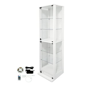 nƋ RNVbN ʃKX^Cv ~hnC^Cv DIO fBI { t NEW RNVP[X KXP[X fBXvCbN i{ + LED Zbgj ( s38cm^Cv ^ 