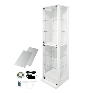 nƋ RNVbN ʃKX^Cv ~hnC^Cv DIO fBI { t NEW RNVP[X KXP[X fBXvCbN i{ + wʃ~[ + LED Zbgj ( s38c