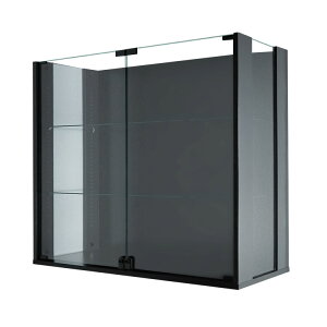 nƋ RNVbN ʃKX DIO fBI Ch Apu t NEW RNVP[X KXP[X fBXvCbN ( 90cm s28cm ^Cv ^ zCg , ubN )