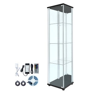 nƋ KXRNVP[X MISTA ~X^ { X 40cm nC^Cv 163cm wʃ~[ wʃKX RNVbN KXP[X fBXvCbN ({+LEDjbgZb