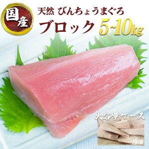 Y VR т񂿂傤܂ ubN XLXC EE珜 {̊CN 5kg 10kg Ⓚ Ɩp ܂Ƃߔ hg  ϕt i  HX Cxg d e VN Ē C