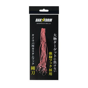 JX^ ^Co p tbN  10{Zbg BAKSTORM oNXg