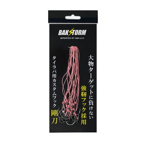 JX^ ^Co p tbN  10{Zbg BAKSTORM oNXg